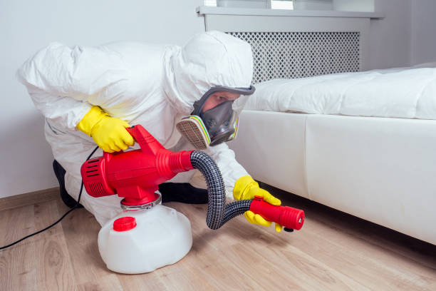Best Pest Prevention Services  in Lackland Af, TX