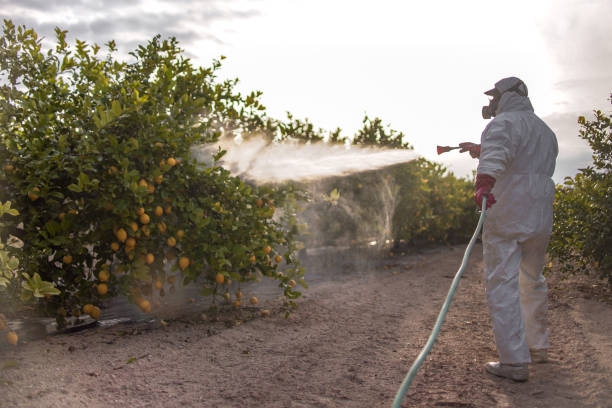 Best Best Pest Control Companies  in Lackland Af, TX