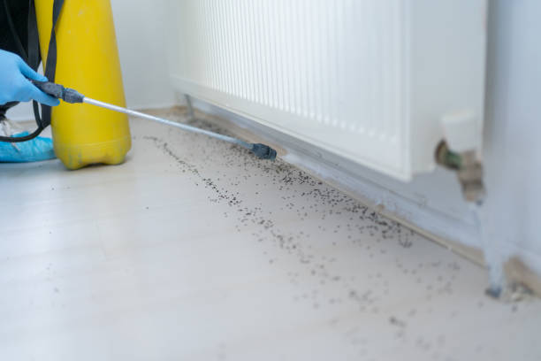 Pest Control for Restaurants in Lackland Af, TX